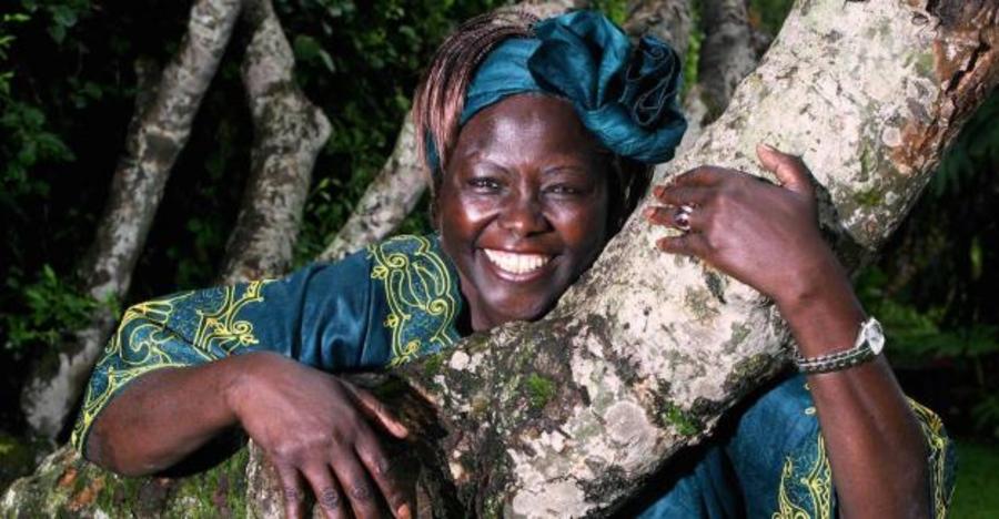 Wangari-Maathai-Muta