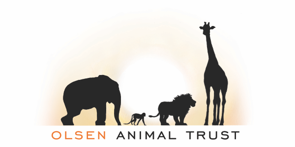 Wilderness Foundation Partners Funders Olsen Family Trust